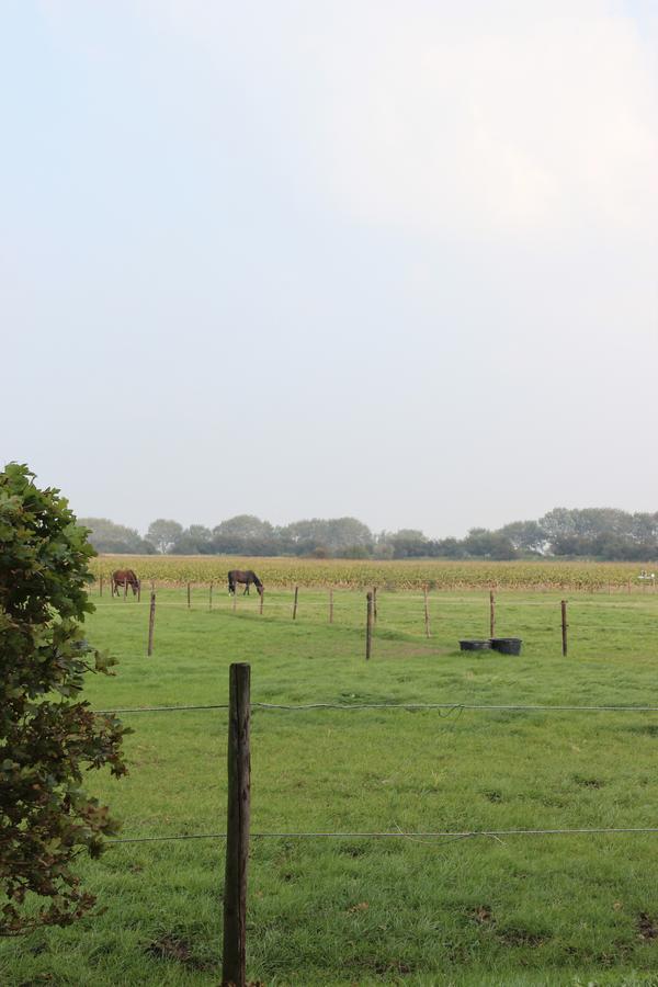 Gastenverblijven Boerderij Het Driespan Middelburg Bagian luar foto