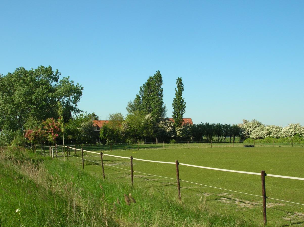 Gastenverblijven Boerderij Het Driespan Middelburg Bagian luar foto