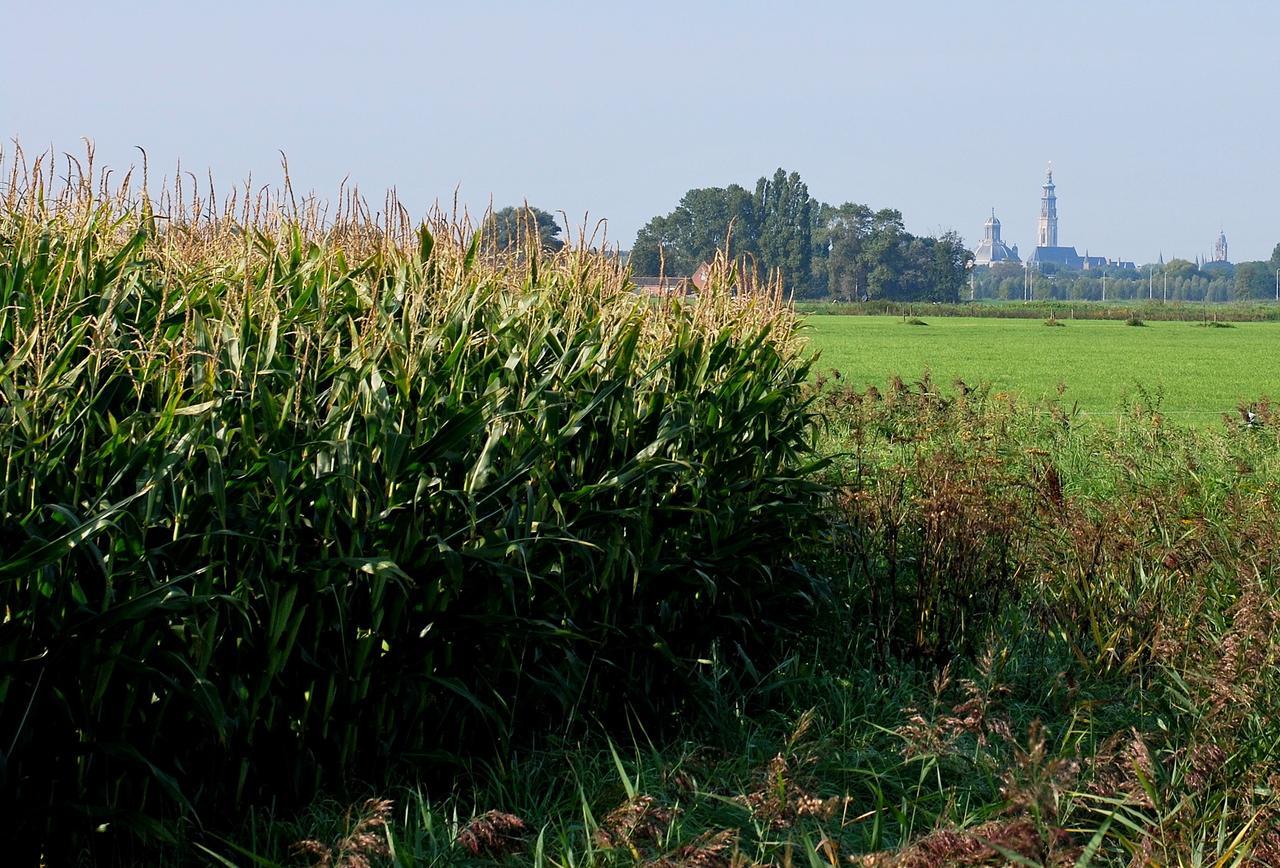 Gastenverblijven Boerderij Het Driespan Middelburg Bagian luar foto